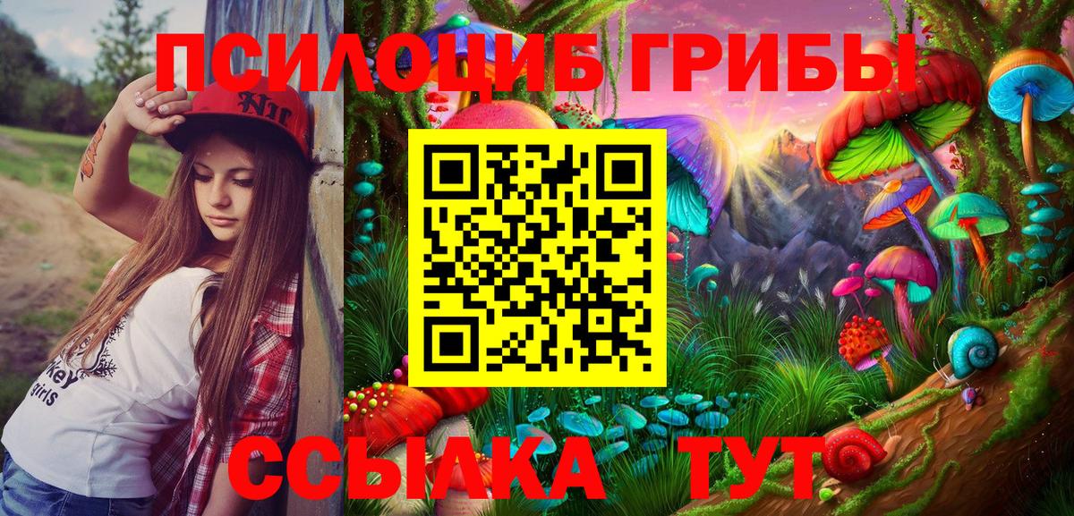 Псилоцибиновые грибы MAGIC MUSHROOMS Будённовск