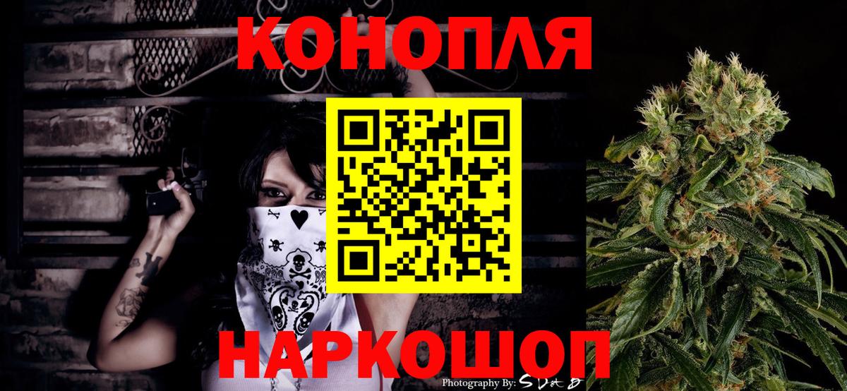 Бошки Шишки план Будённовск
